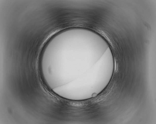 X0000111680531200908141452