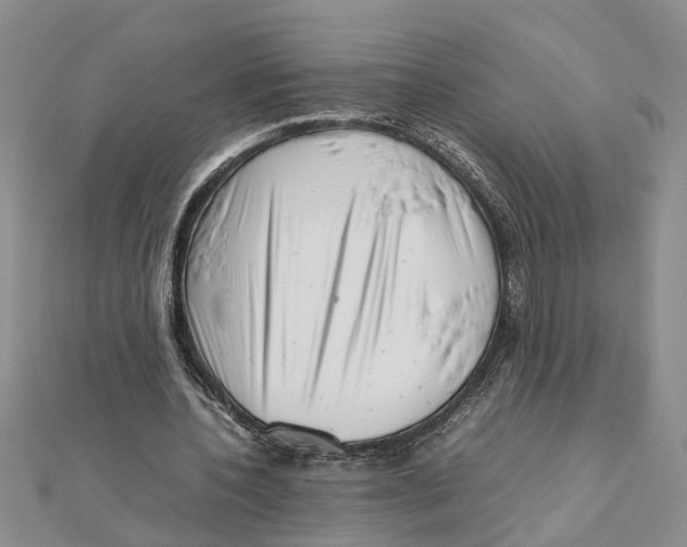 X0000111680532200908141452