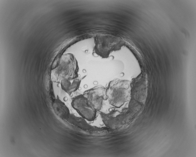 X0000111680533200908141452