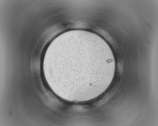 X0000111680534200908141452