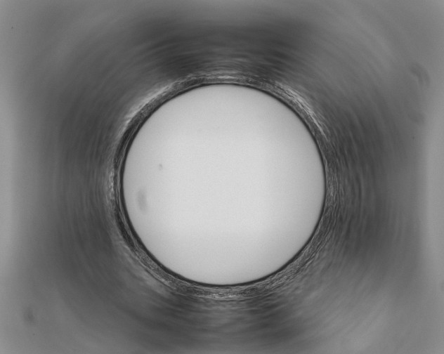 X0000111680535200908141452