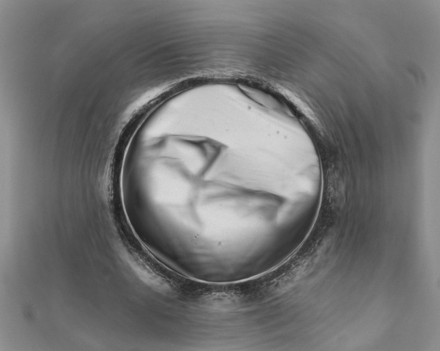 X0000111680536200908141452