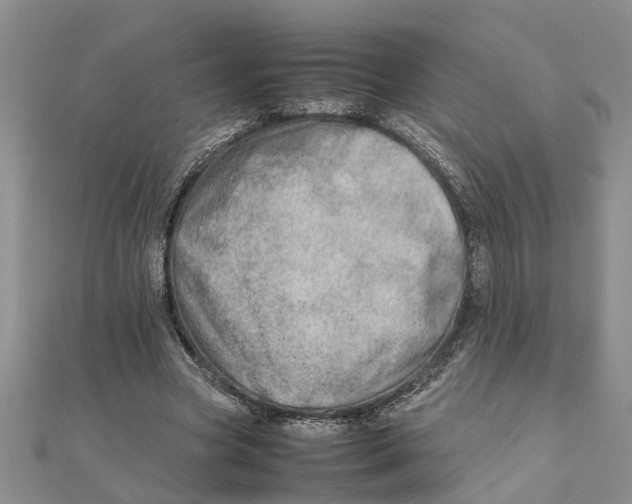 X0000111680537200908141452