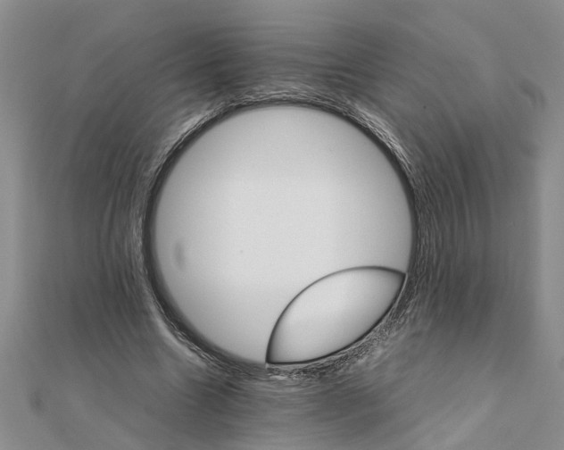 X0000111680538200908141452