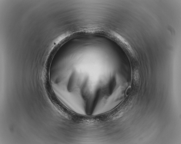 X0000111680540200908141452