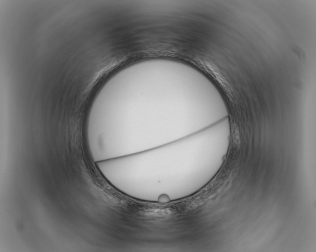 X0000111680543200908141452