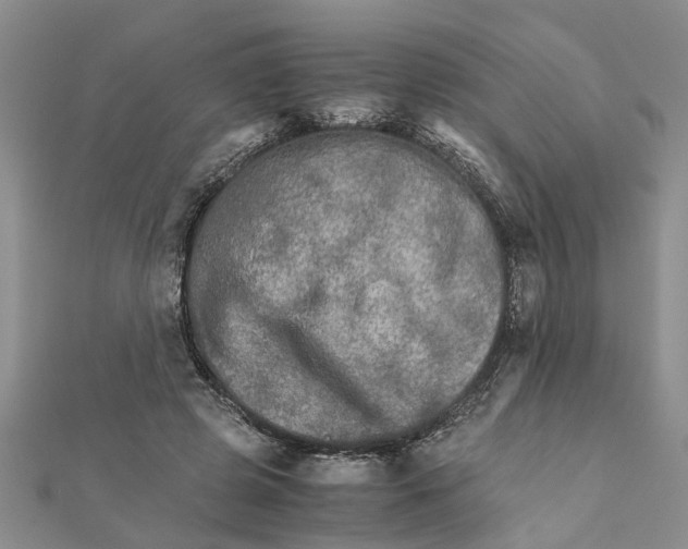 X0000111680545200908141452