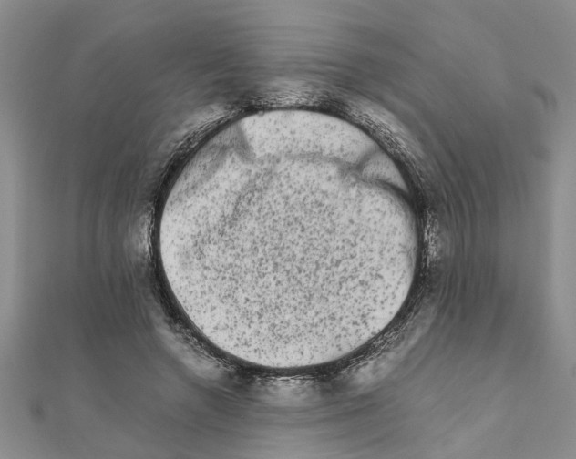 X0000111680546200908141452