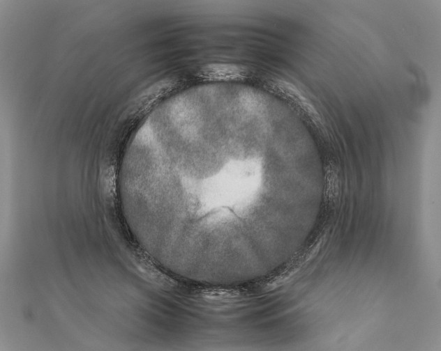 X0000111680549200908141452