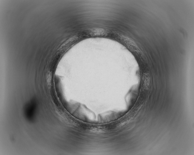 X0000111680550200908141452