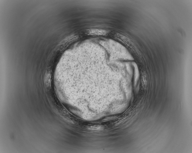 X0000111680551200908141452