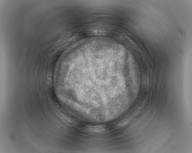 X0000111680553200908141452