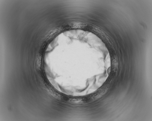 X0000111680554200908141452