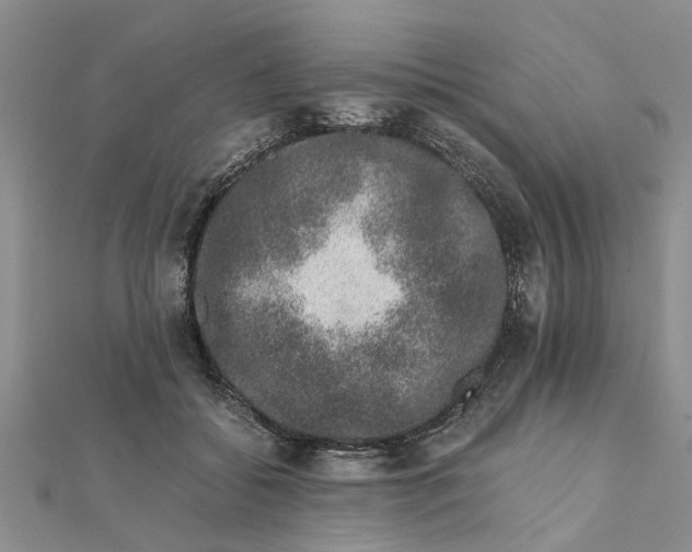 X0000111680556200908141452