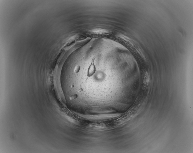 X0000111680559200908141452