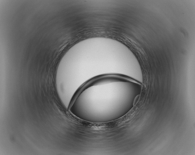 X0000111680560200908141452