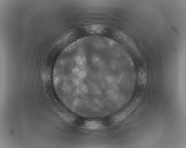 X0000111680561200908141452