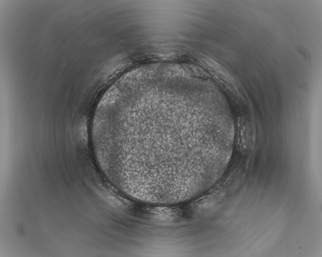 X0000111680562200908141452