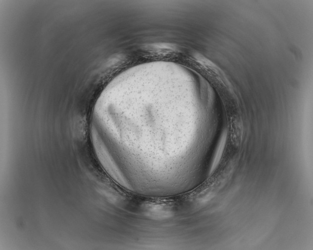 X0000111680563200908141452