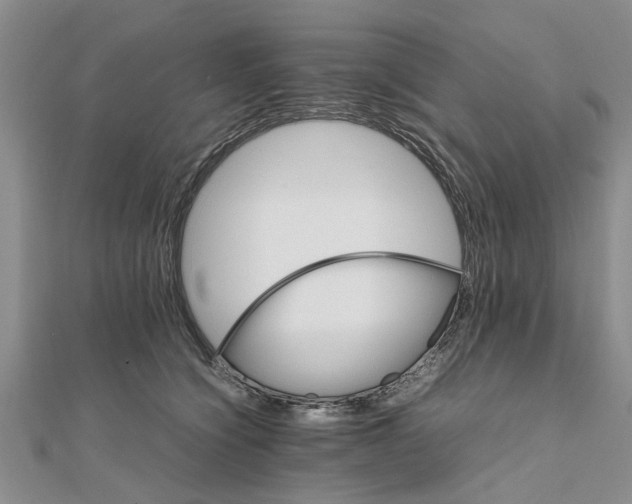 X0000111680564200908141452