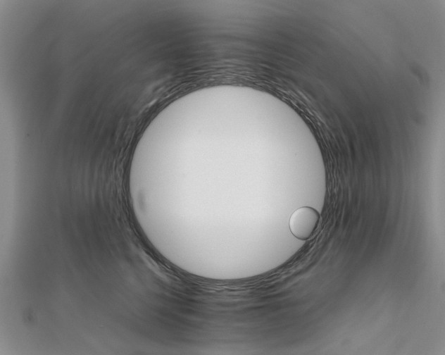 X0000111680568200908141452