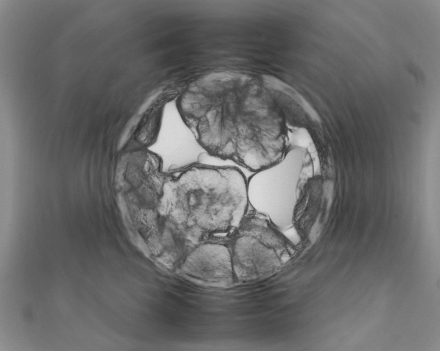 X0000111680569200908141452