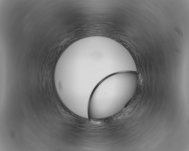 X0000111680570200908141452