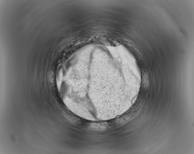 X0000111680571200908141452