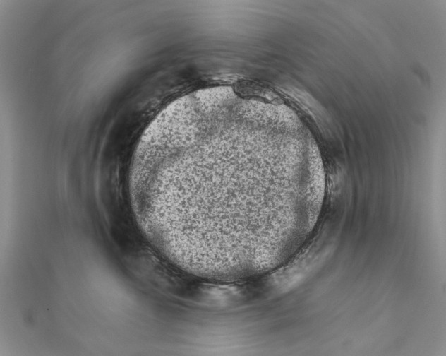 X0000111680572200908141452