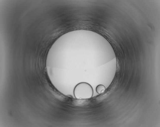 X0000111680575200908141452