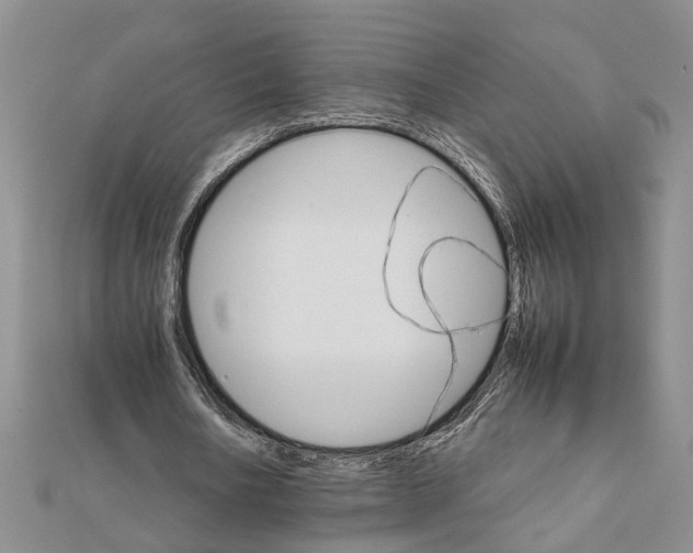 X0000111680578200908141452