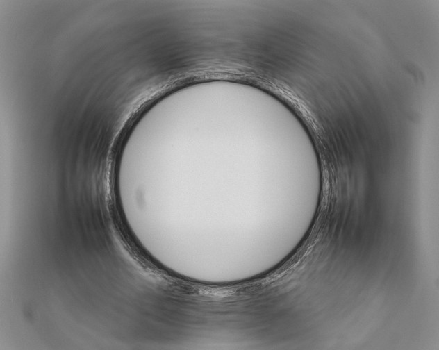 X0000111680582200908141452