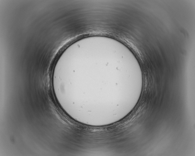 X0000111680584200908141452