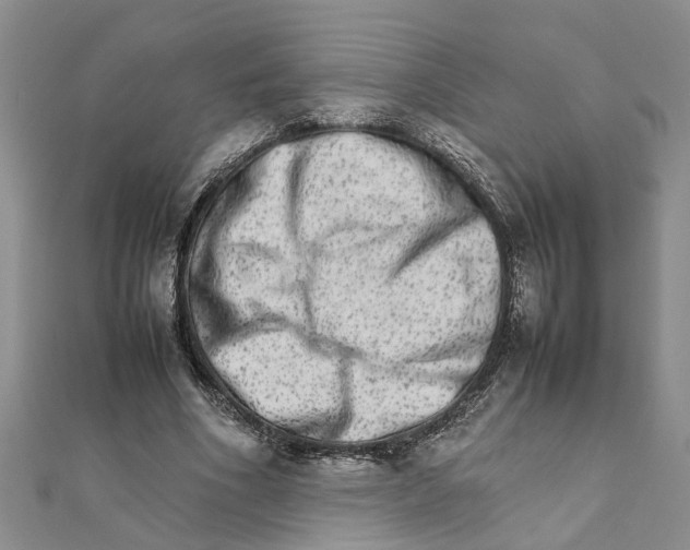 X0000111680586200908141452