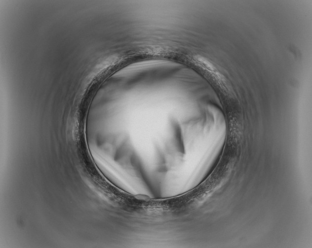 X0000111680587200908141452