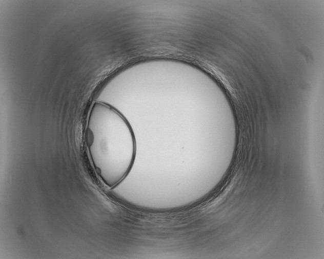 X0000111680589200908141452