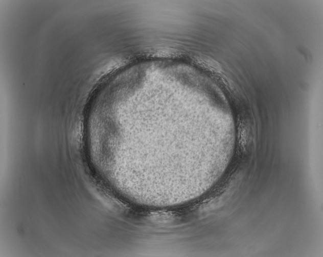 X0000111680591200908141452