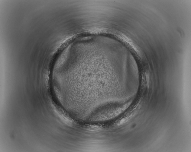 X0000111680592200908141452