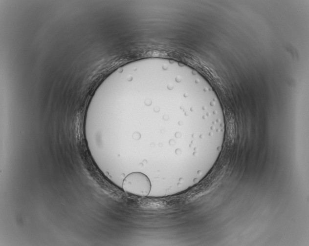 X0000111680594200908141452