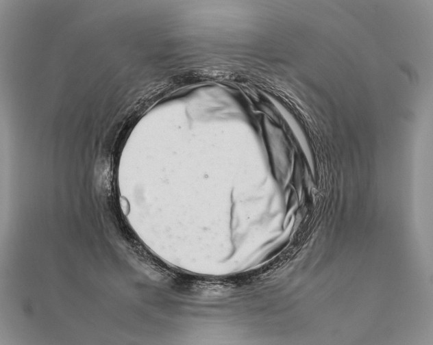 X0000111680597200908141452