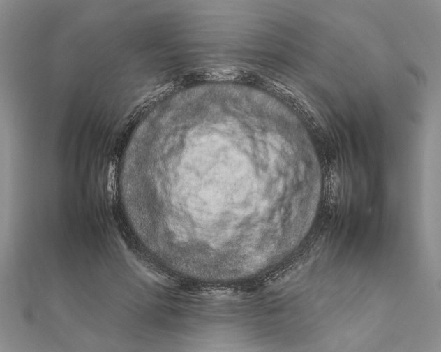 X0000111680598200908141451