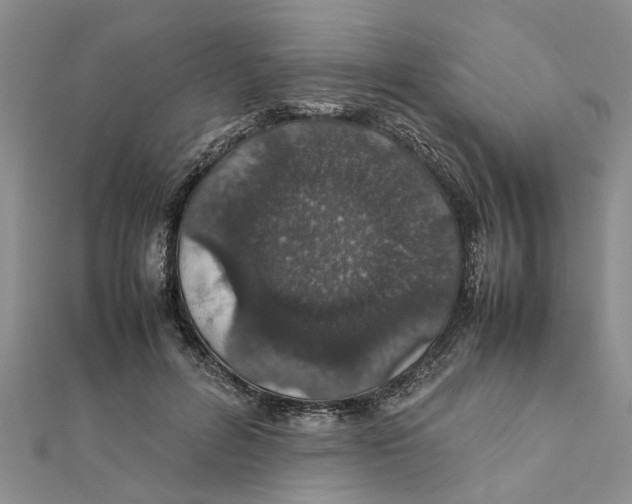 X0000111680600200908141451