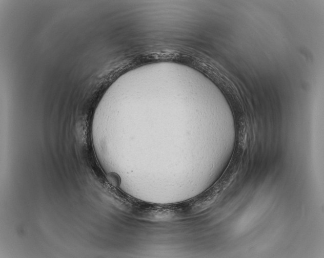 X0000111680604200908141451