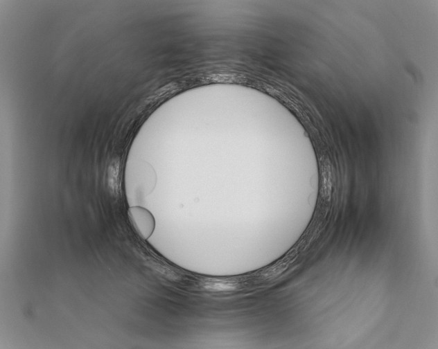 X0000111680610200908141451