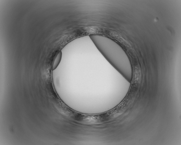 X0000111680611200908141451