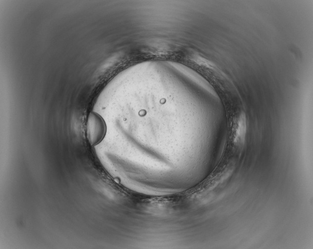 X0000111680612200908141451