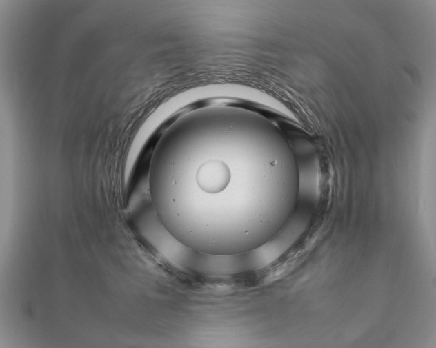 X0000111680613200908141451