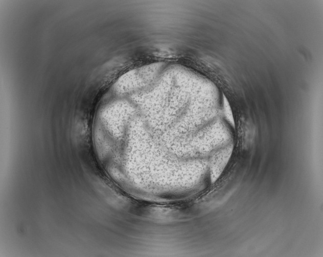 X0000111680614200908141451