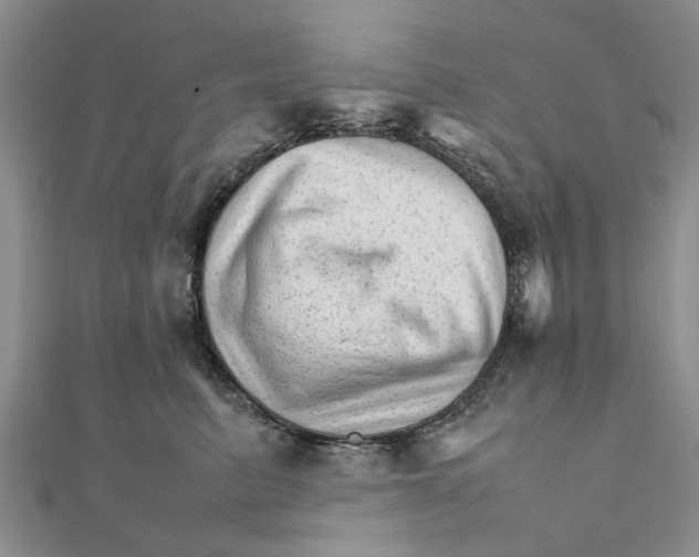 X0000111680615200908141451