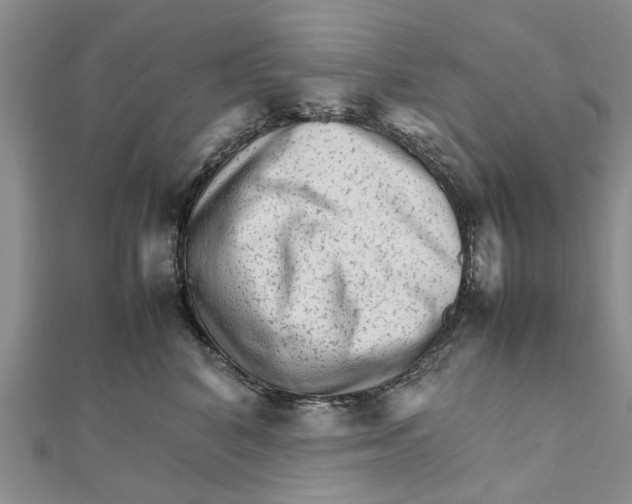 X0000111680616200908141451